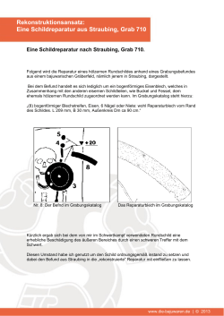 Eine Schildreparatur aus Straubing, Grab 710