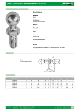 27656_C Kugelzapfen für Winkelgelenke DIN 71803 Form C