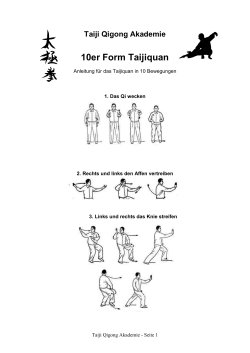 10er Form Taijiquan - Taiji Qigong Akademie