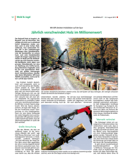 J&auml;hrlich verschwindet Holz im Millionenwert