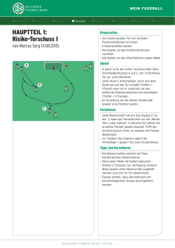 HAUPTTEIL 1: Risiko-Torschuss I