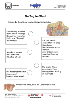 Ein Tag im Wald