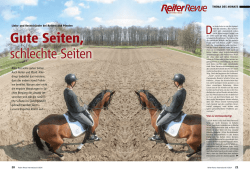 Alles hat seine guten Seiten. Auch Reiter und Pferd. Aller