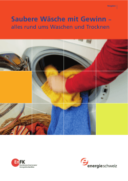 Saubere Wäsche mit Gewinn