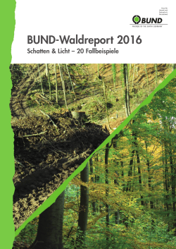 BUND-Waldreport 2016