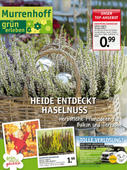 Heide entdeckt Haselnuss