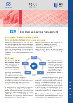 Ihr Nutzen Individuelle Datenverarbeitung (IDV) &ndash; Dokumentation