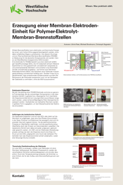 Einheit f&uuml;r Polymer-Elektrolyt
