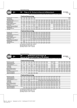 WI Platz d. Dt. Einheit Naurod Medenbach Fastnachtssonntag