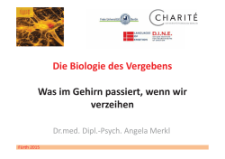 pdf: 607 KB - Turm der Sinne