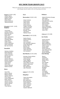 hyc swim team groups 2015
