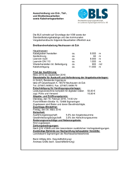 Ausschreibung BLS Erd- Tief- und