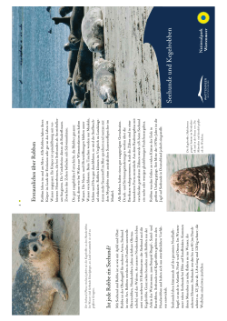 Seehundfaltblatt - Nationalpark Wattenmeer