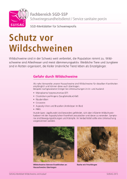 Merkblatt Suisag "Schutz vor Wildschweinen"