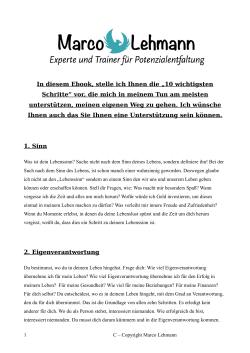 In diesem Ebook, stelle ich Ihnen die &bdquo;10 wichtigsten Schritte&ldquo; vor