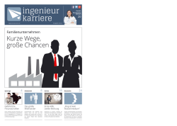 ingenieur karriere