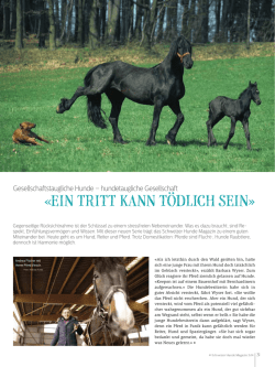 ein tritt kann t&ouml;dlich sein