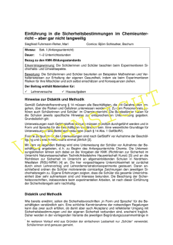 Voransicht