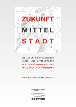 DIE ZUKUNFT EUROP&Auml;ISCHER KLEIN