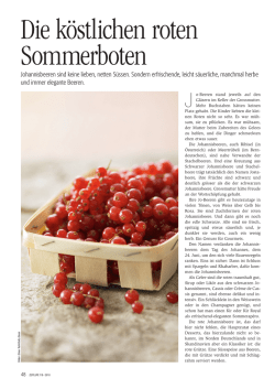 Johannisbeeren &ndash; Die k&ouml;stlichen roten Sommerboten