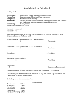 Grundschnitt f&uuml;r ein Calico-Hemd