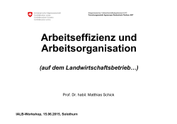 Arbeitseffizienz und Arbeitsorganisation