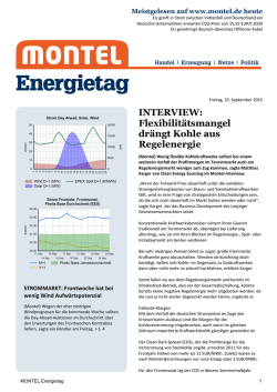 INTERVIEW: Flexibilitätsmangel drängt Kohle aus Regelenergie