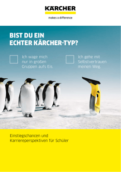 bist du ein echter kärcher-typ? - kaercher