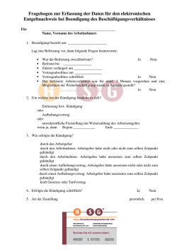 Fragebogen Beendigung Besch&auml;ftigungsverh&auml;ltnis