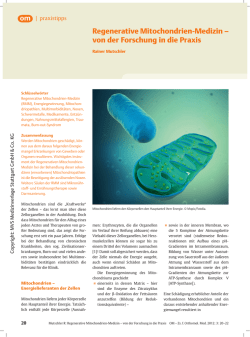Regenerative Mitochondrien-Medizin