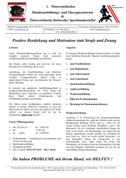 Positive Bestärkung und Motivation statt Strafe und Zwang Sie