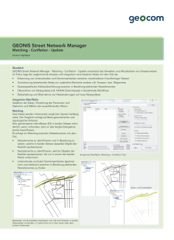 GEONIS Street Network Manager