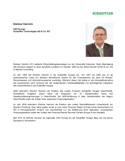Dietmar Heinrich: CEO Europa: Lebenslauf