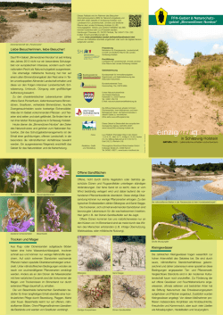 FFH-Gebiet & Naturschutz- gebiet &bdquo;Binnend&uuml;nen Nordoe&ldquo;