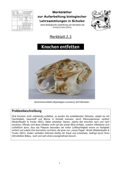 Knochen entfetten e - Biologische Lehrsammlung Uni Konstanz