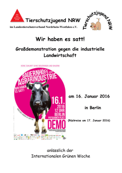Infoflyer Demo Wir haben es satt in Berlin