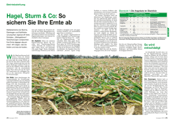 Hagel, Sturm & Co: So sichern Sie Ihre Ernte ab
