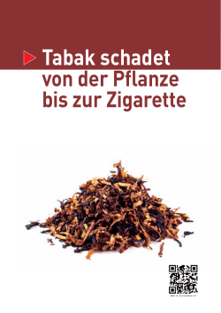 Tabak schadet von der Pflanze bis zur Zigarette