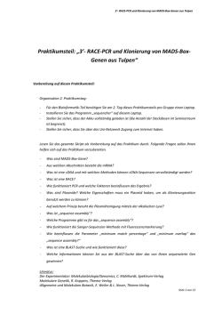 GrundpraktikumScriptSS2014