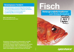 Hintergrund zum Fischratgeber | Greenpeace