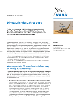 Infopapier_ Hintergrund