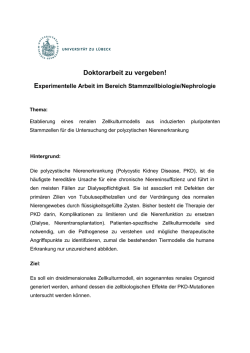 Doktorarbeit zu vergeben! - Institut f&uuml;r Virologie und Zellbiologie
