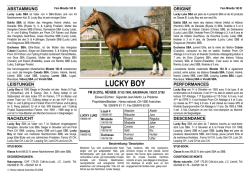 LUCKY BOY