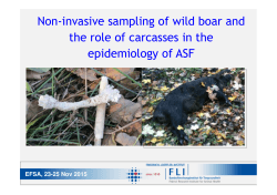 Non-invasive sampling of wild boar and the role of carcasses