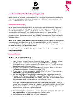 Anleitung Ladendetektive PDF