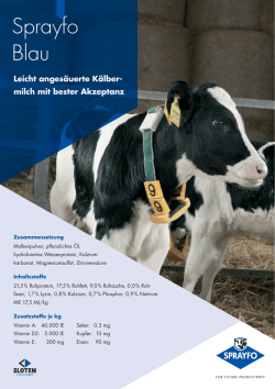 Handzettel Sprayfo Blau