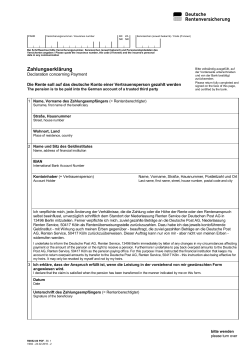 R0852 Internetformular Deutsche Rentenversicherung