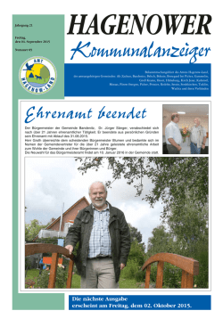 Ehrenamt beendet - Amt Hagenow-Land