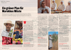 Ein grüner Plan für Marokkos Wüste