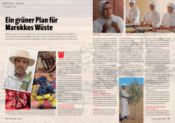 Ein gr&uuml;ner Plan f&uuml;r Marokkos W&uuml;ste